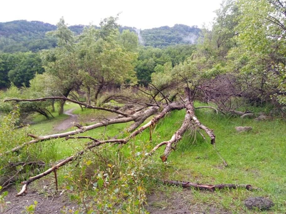 Apartamento Atico En Pleno Pirineo El Pueyo de Jaca Exterior foto