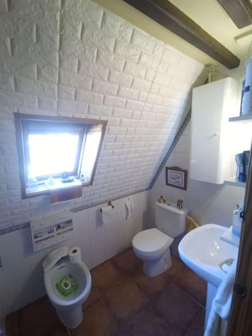 Apartamento Atico En Pleno Pirineo El Pueyo de Jaca Exterior foto